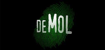 Wie is de mol?